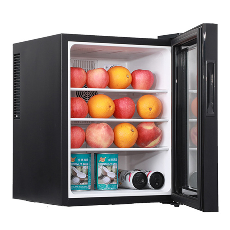 Mini frigorifero da 40 litri,  - Wine Beer Cooler Fridge recensione e prezzo