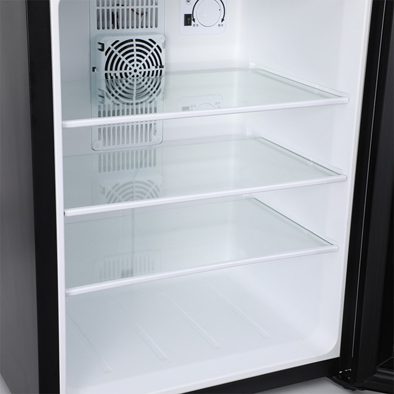 Mini frigorifero da 40 litri,  - Wine Beer Cooler Fridge recensione e prezzo