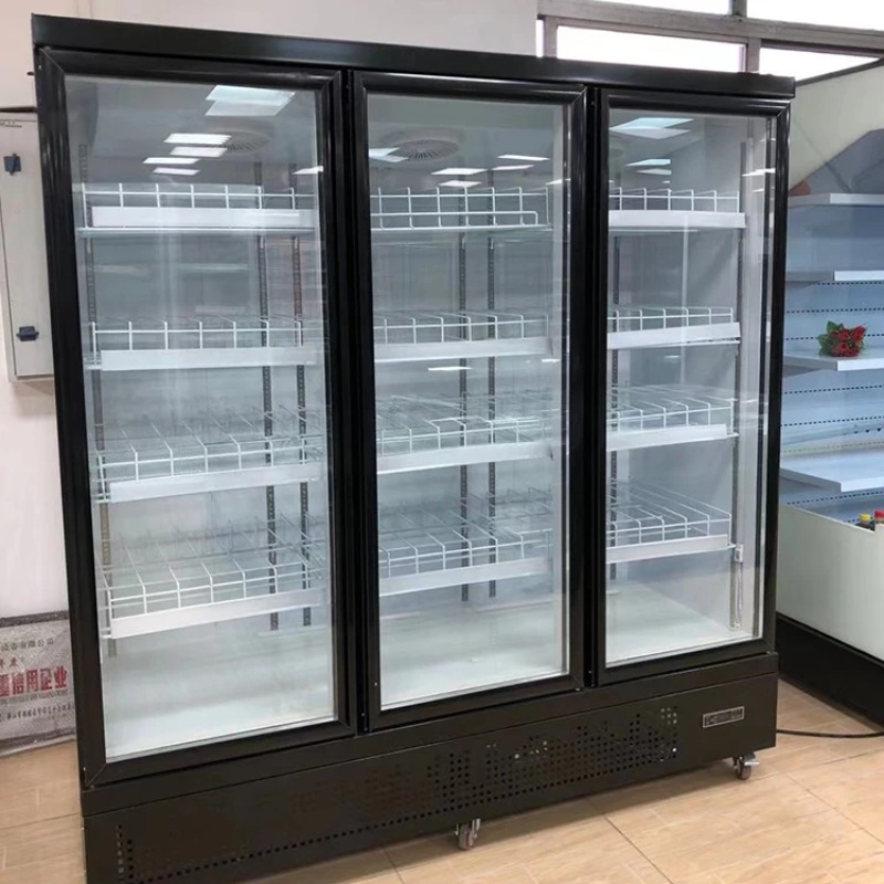 Frigorifero per Vino Rosso con - Wine Beer Fridge Cabinet recensione e prezzo