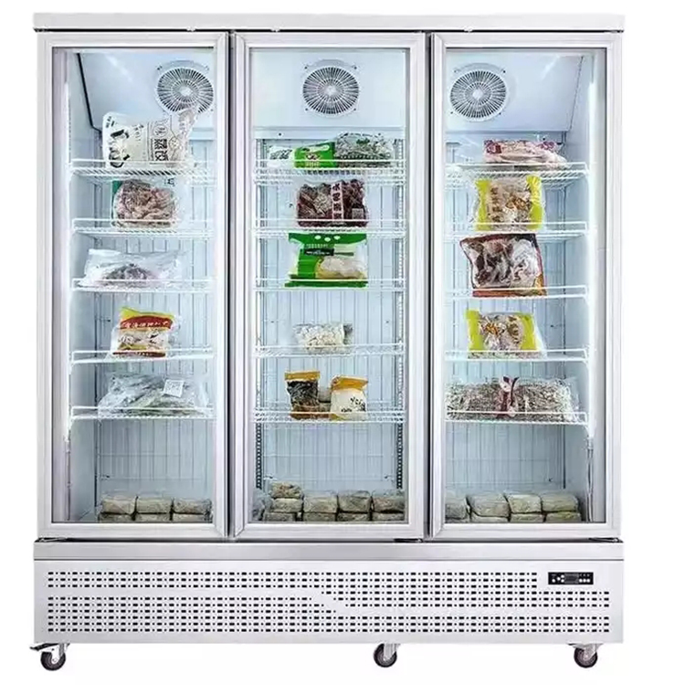 Porta in vetro per la casa e i - Wine Beer Fridge Cabinet recensione e prezzo