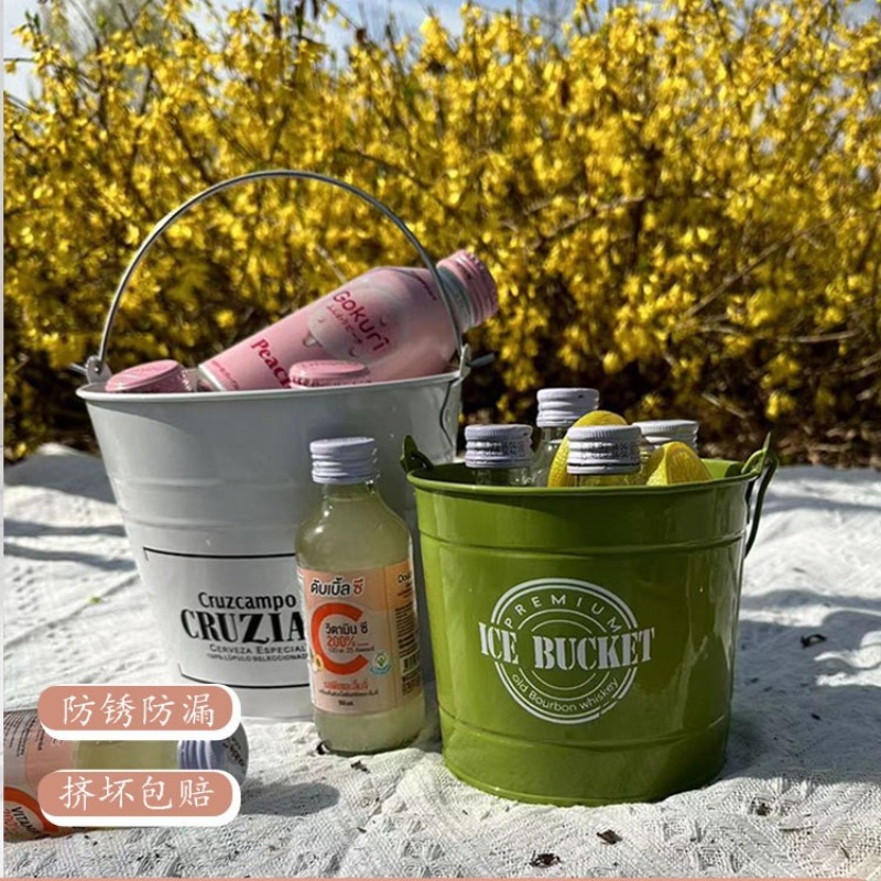 Secchiello per il ghiaccio com - Ice Bucket Silver recensione e prezzo