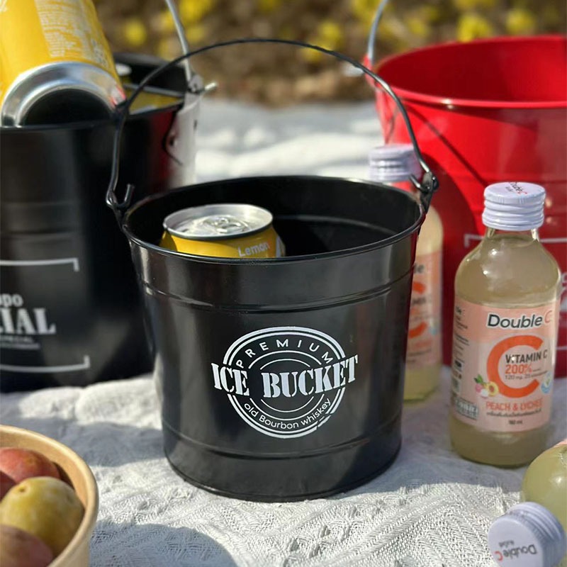 Secchiello per il ghiaccio com - Ice Bucket Silver recensione e prezzo